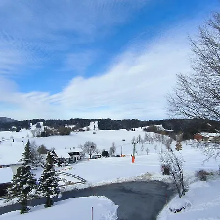 Allgaeuerle1604 Mit Hallenbad, Sauna Und Wlan