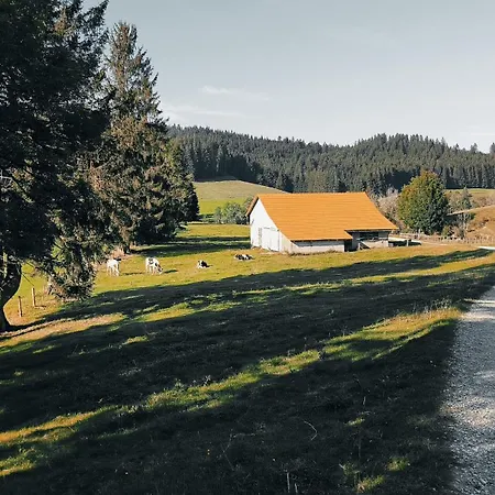 Apartment Allgaeuerle1604 Mit Hallenbad, Sauna Und Wlan Missen-Wilhams