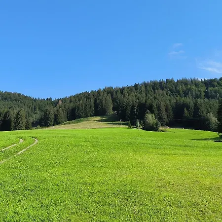 Allgaeuerle1604 Mit Hallenbad, Sauna Und Wlan