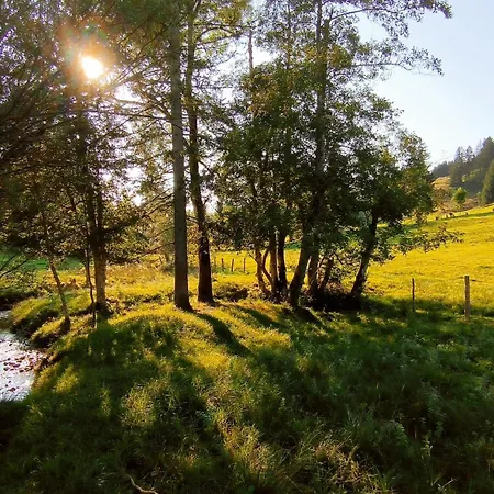 Allgaeuerle1604 Mit Hallenbad, Sauna Und Wlan Apartment *