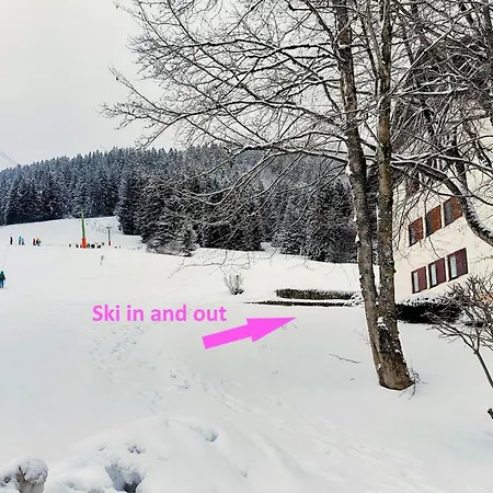 Lejlighed Allgaeuerle 1604 In Out An Der Skipiste Mit Hallenbad Sauna Missen-Wilhams