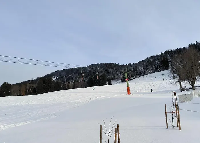 Allgaeuerle 1604 In Out An Der Skipiste Mit Hallenbad Sauna Lejlighed