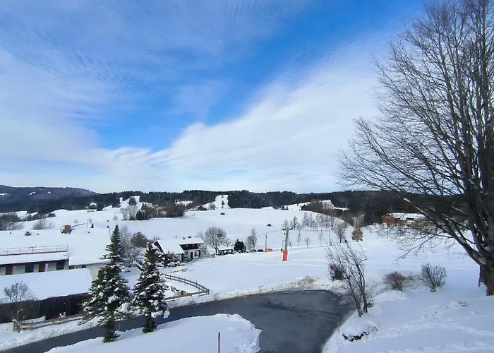 Allgaeuerle 1604 In Out An Der Skipiste Mit Hallenbad Sauna