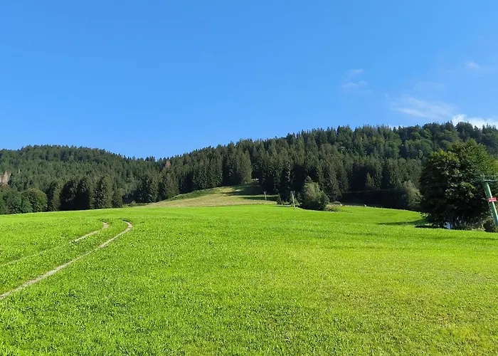 Allgaeuerle 1604 In Out An Der Skipiste Mit Hallenbad Sauna