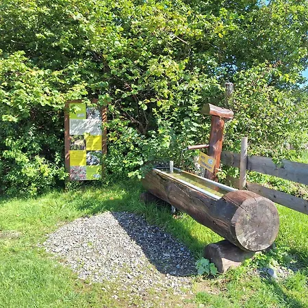 Allgaeuerle1604 Mit Hallenbad, Sauna Und Wlan *
